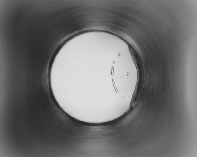 X0000088700988200706282019