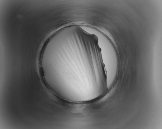 X0000088700989200706282019