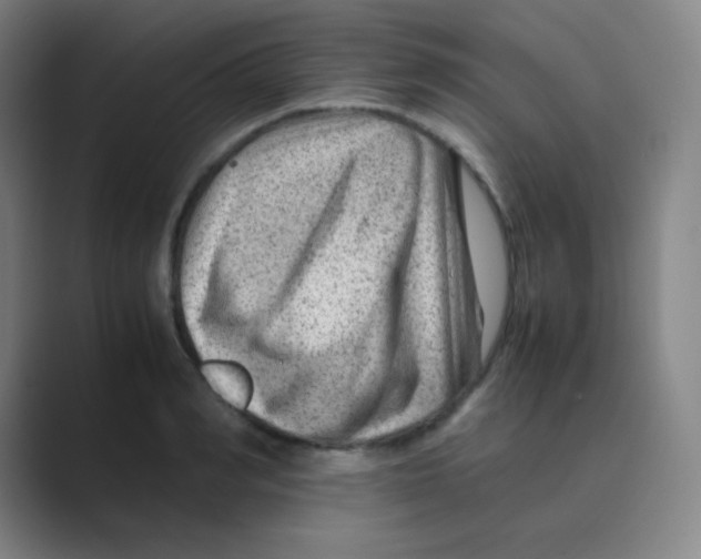 X0000088700990200706282019