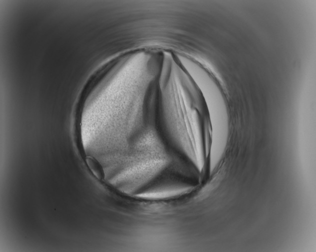 X0000088700991200706282019