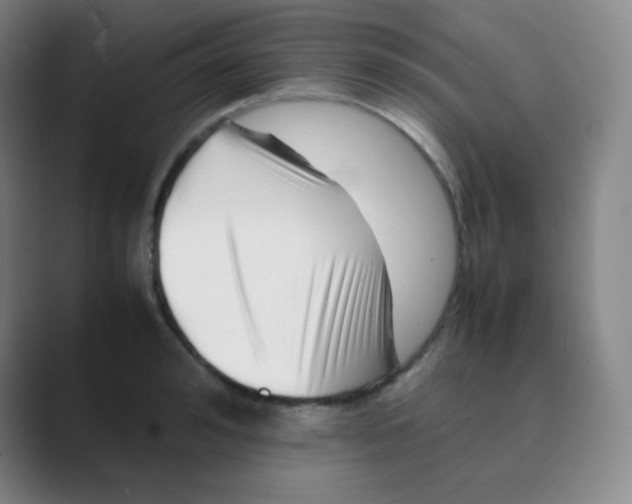 X0000088700992200706282019