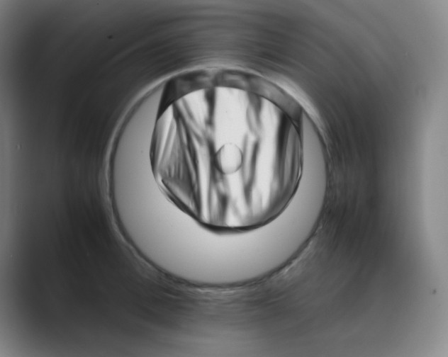 X0000088700996200706282019