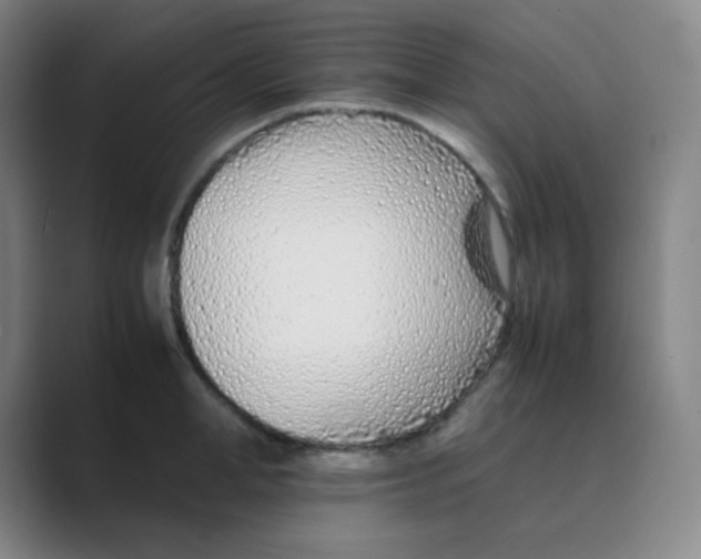 X0000088700998200706282019