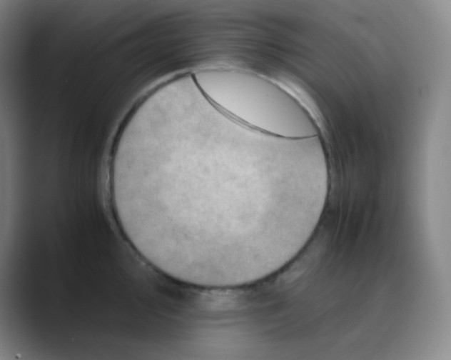 X0000088701000200706282019