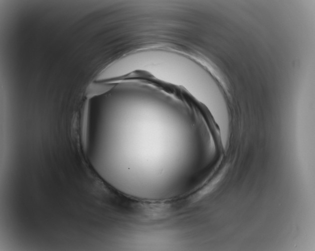 X0000088701001200706282019