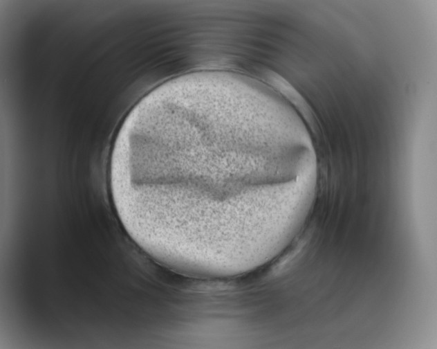 X0000088701002200706282019