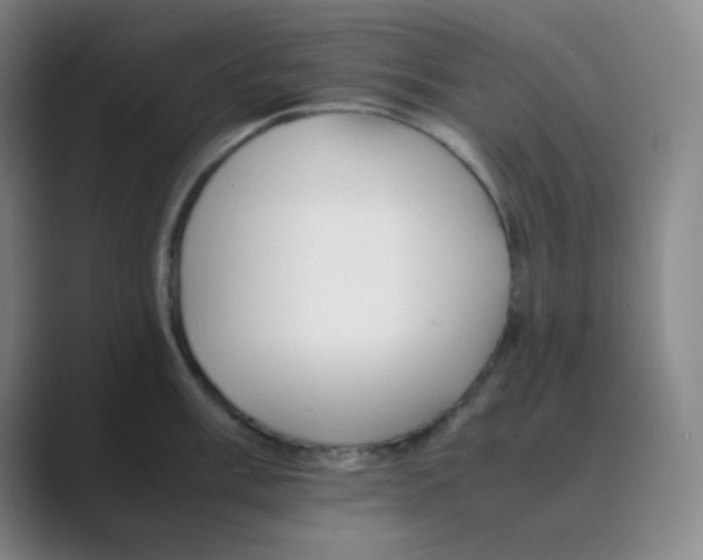 X0000088701003200706282019