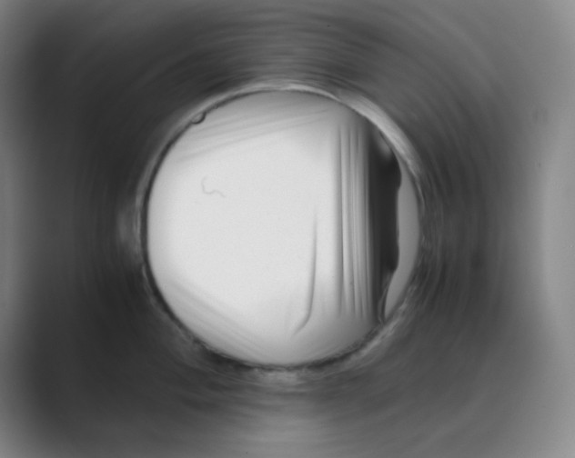 X0000088701004200706282019