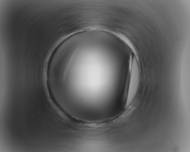 X0000088701005200706282019