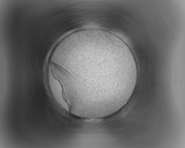 X0000088701008200706282019