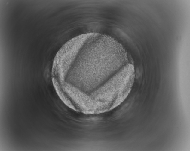 X0000088701011200706282018