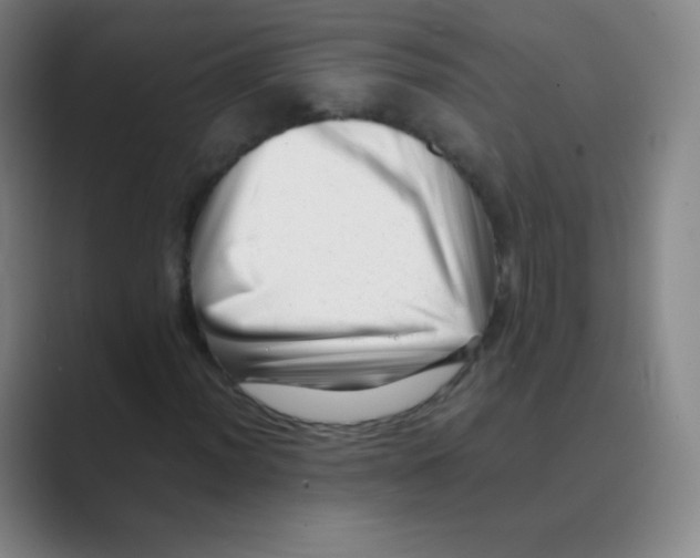 X0000088701012200706282018