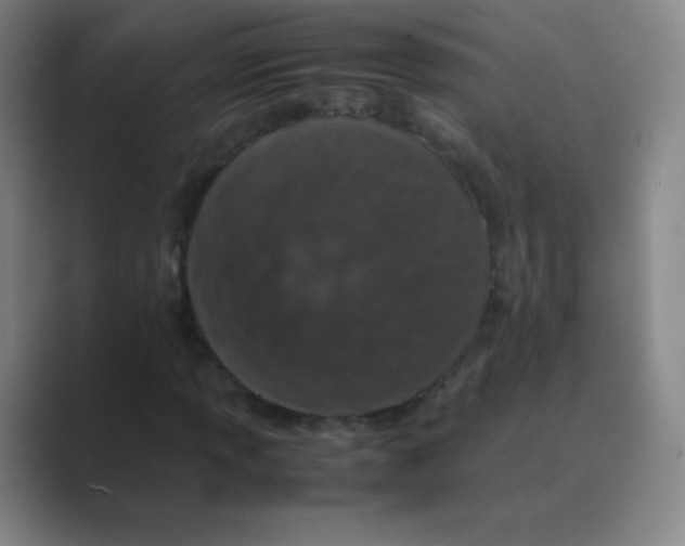 X0000088701013200706282018