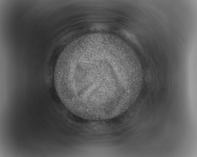 X0000088701015200706282018