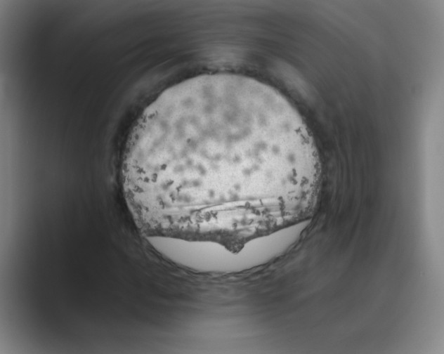 X0000088701016200706282018