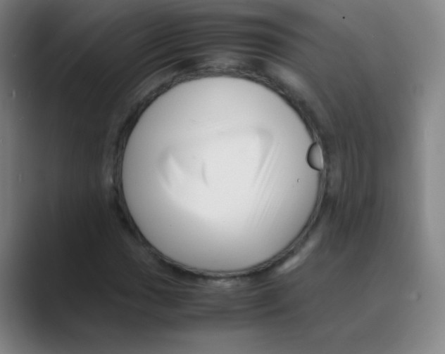 X0000088701017200706282019