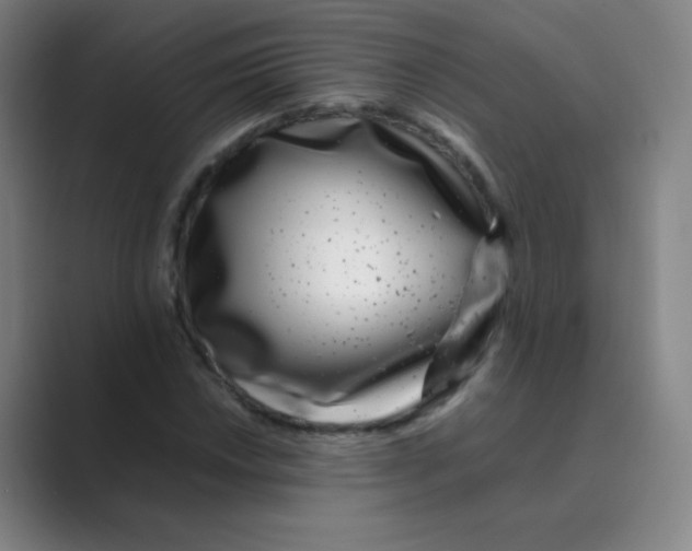 X0000088701018200706282019