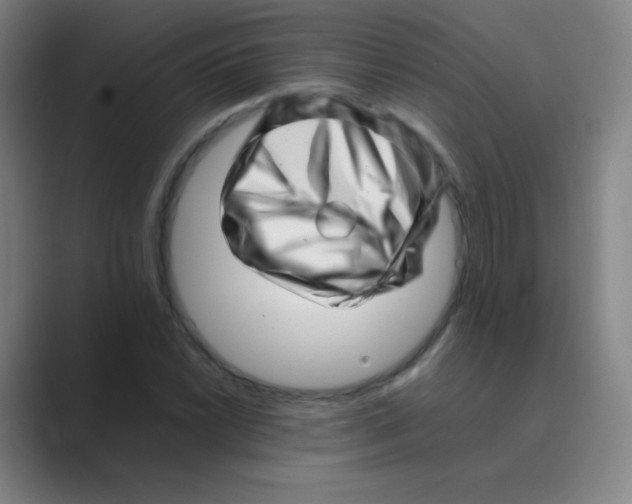 X0000088701022200706282019