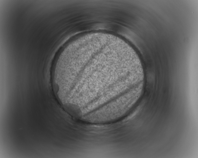 X0000088701023200706282019