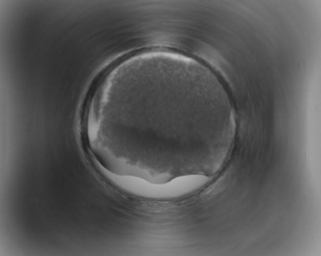 X0000088701024200706282019