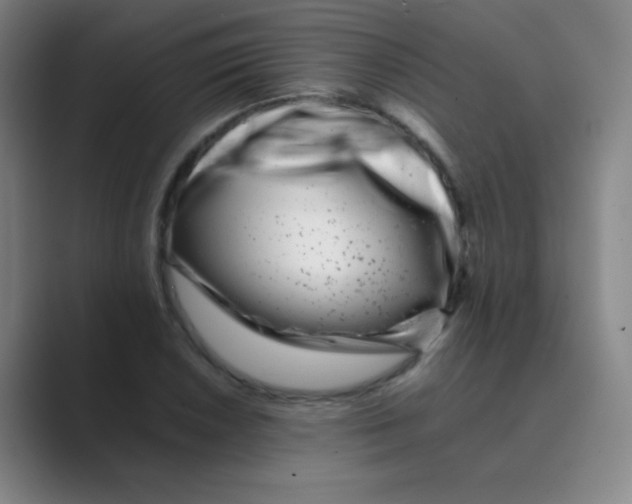 X0000088701026200706282019