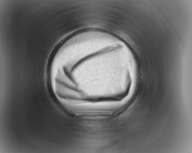 X0000088701028200706282019