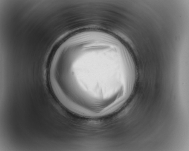 X0000088701029200706282019