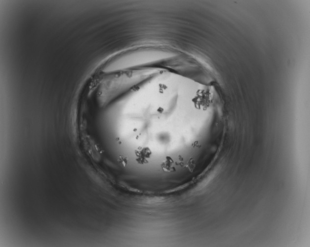 X0000088701030200706282019