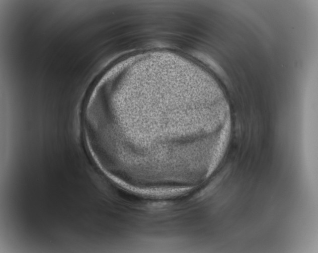 X0000088701031200706282019