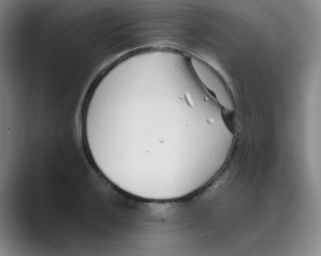 X0000088701032200706282019