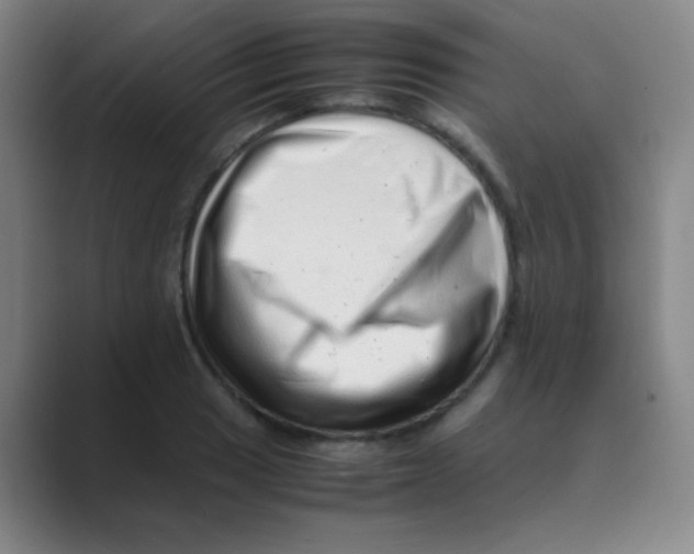 X0000088701033200706282019