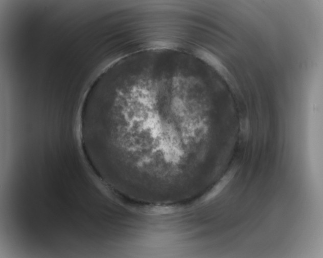 X0000088701034200706282019