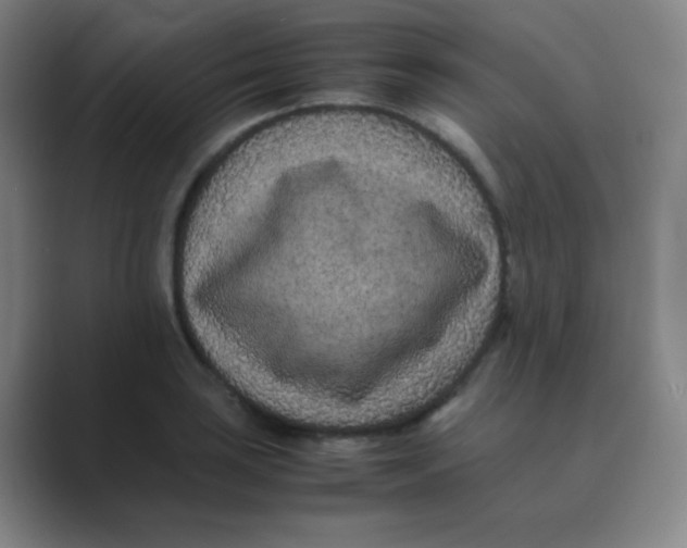 X0000088701035200706282019