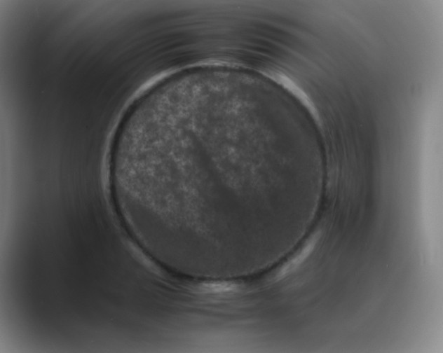 X0000088701037200706282019