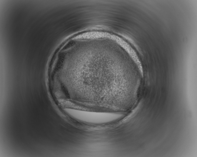 X0000088701038200706282019