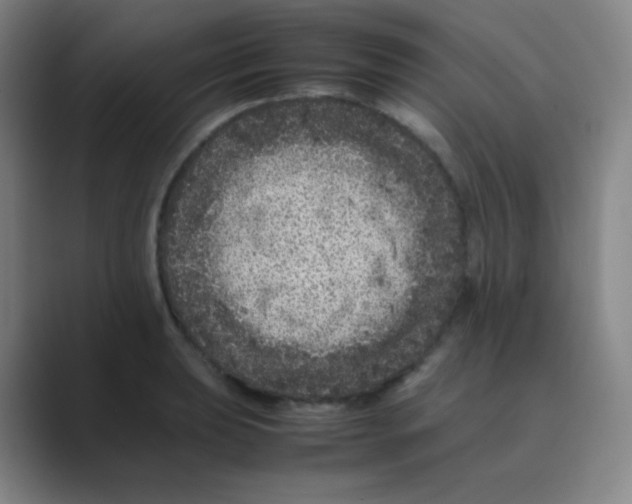 X0000088701039200706282019