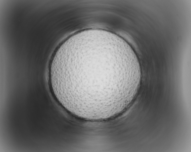 X0000088701040200706282019