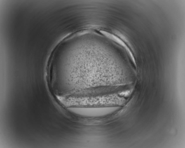 X0000088701042200706282019