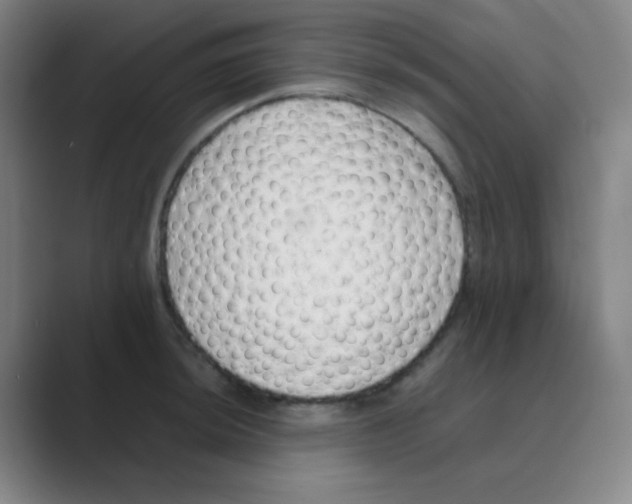 X0000088701044200706282019