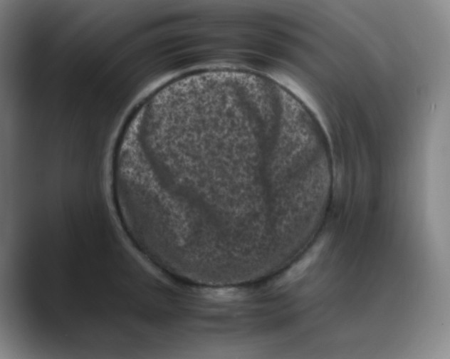 X0000088701045200706282019