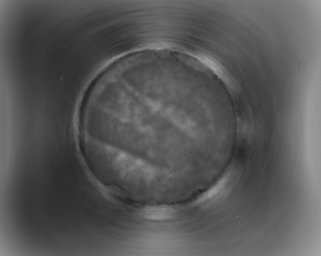 X0000088701046200706282019