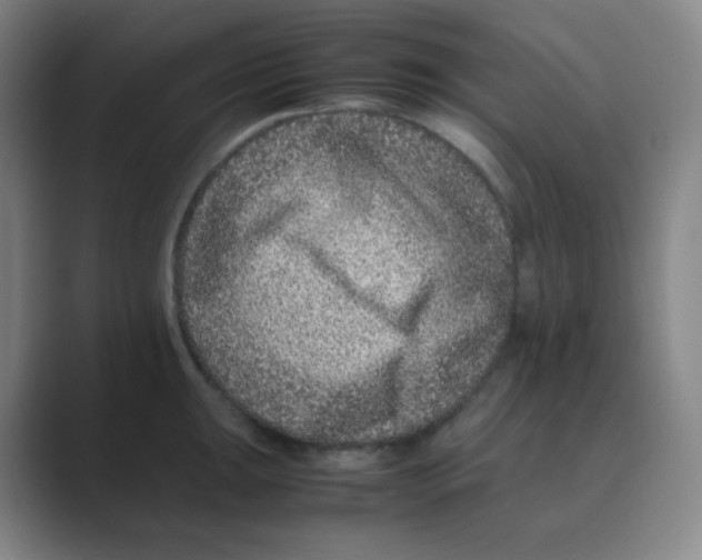 X0000088701047200706282019