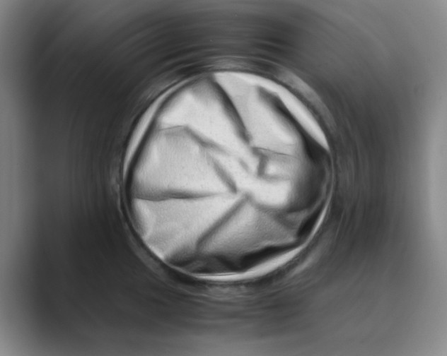 X0000088701049200706282019