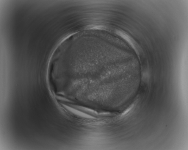 X0000088701050200706282019