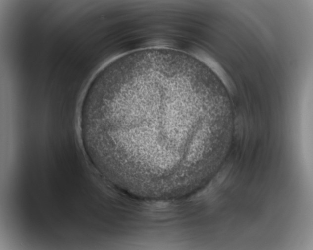 X0000088701051200706282019