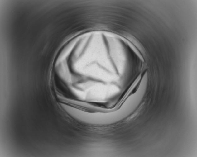 X0000088701052200706282019