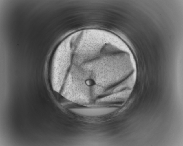 X0000088701053200706282019