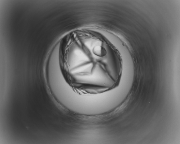 X0000088701054200706282019