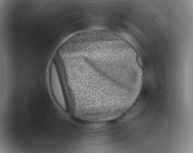 X0000088701055200706282019