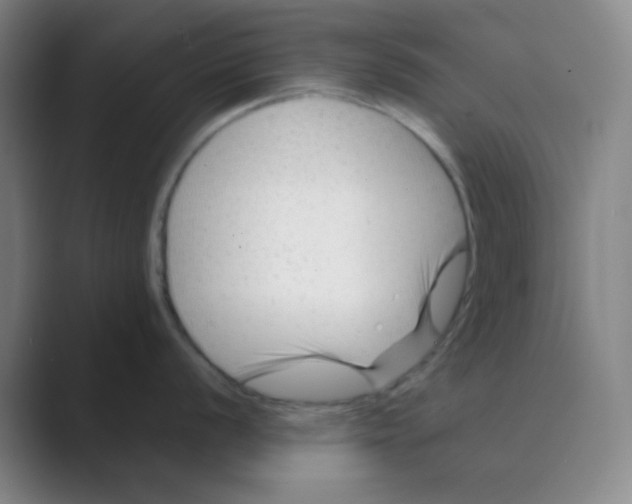 X0000088701056200706282019